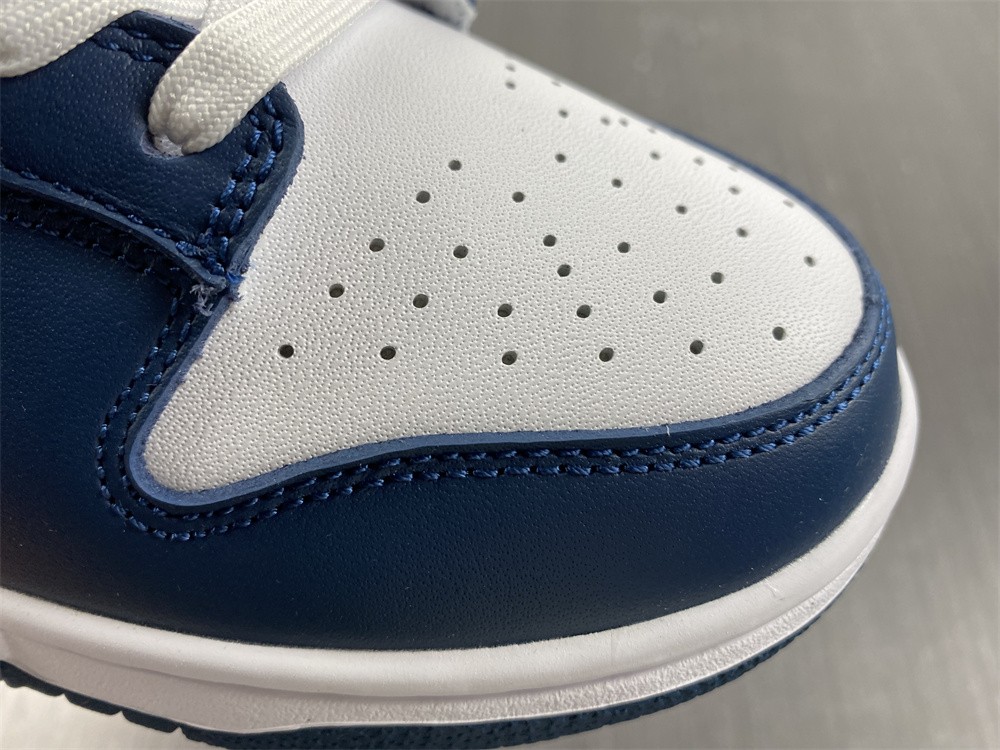 Nike Dunk Low Valerian Blue DD1391-400