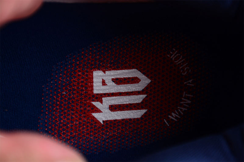 Nike Kobe 6 Protro "Team USA" PE Home White CW2190-146