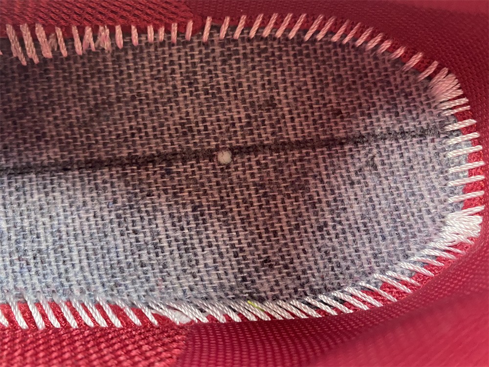 Balenciaga TRIPLE S TRAINER