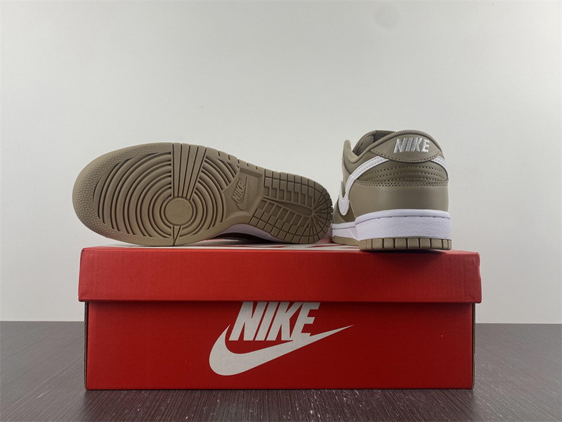 Nike Dunk Low Judge Grey DJ6188-200