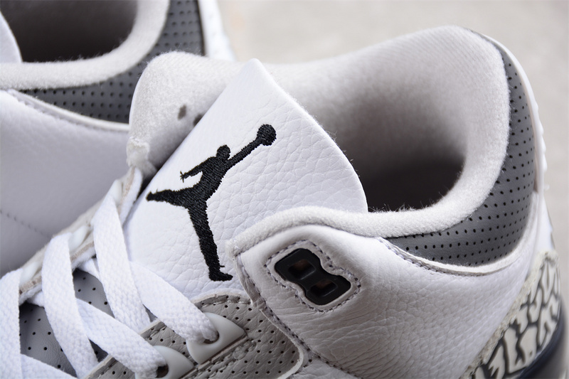 Air Jordan 3 GS Hide N