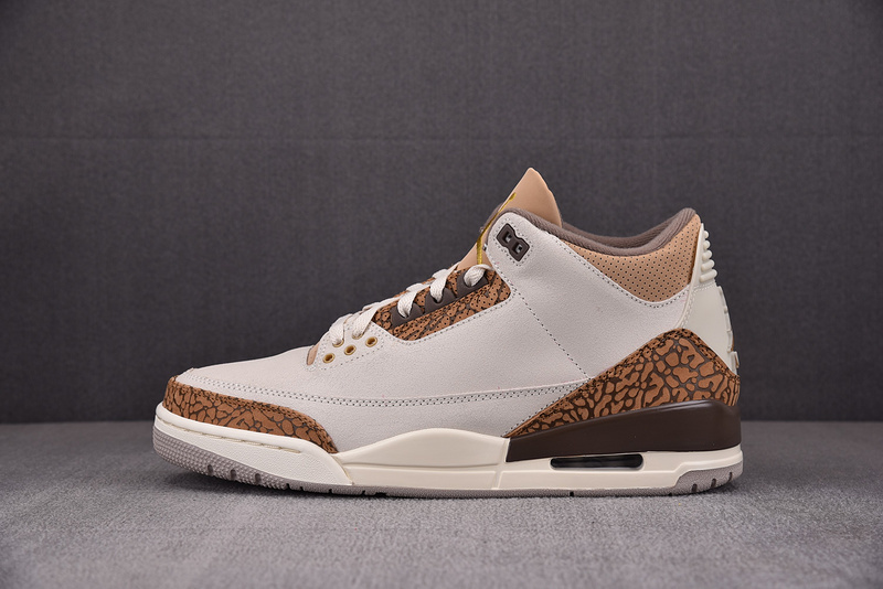 Air Jordan 3 "Palamino" CT8532-102