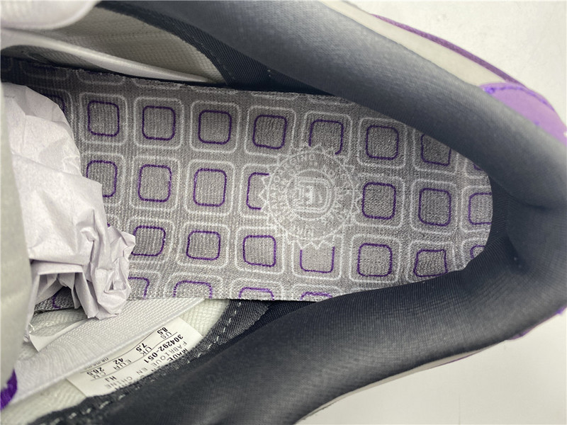 Nike Dunk SB Low Purple Pigeon 304292-051