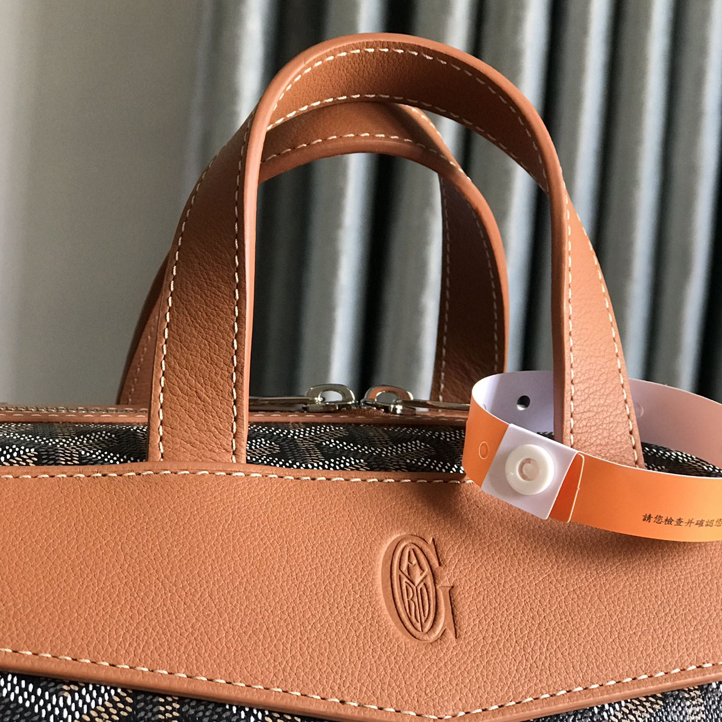 Goyard Cisalpin Backpack