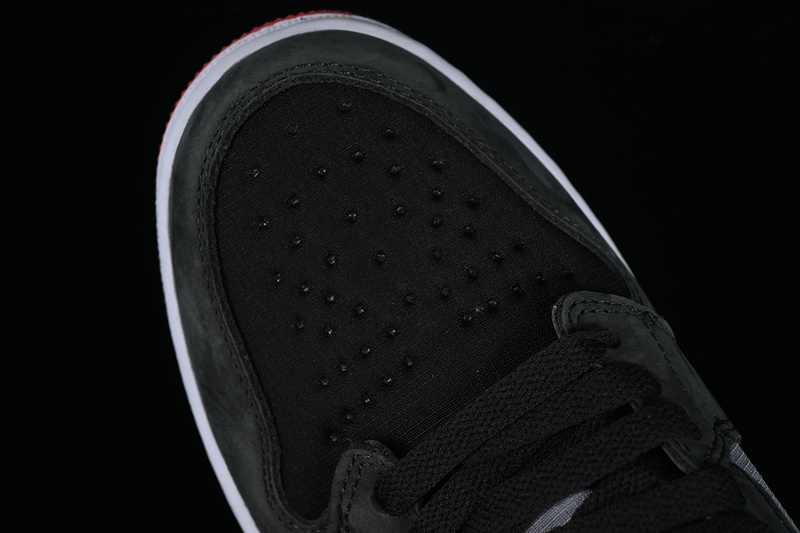 Air Jordan 1 High Element GORE TEX