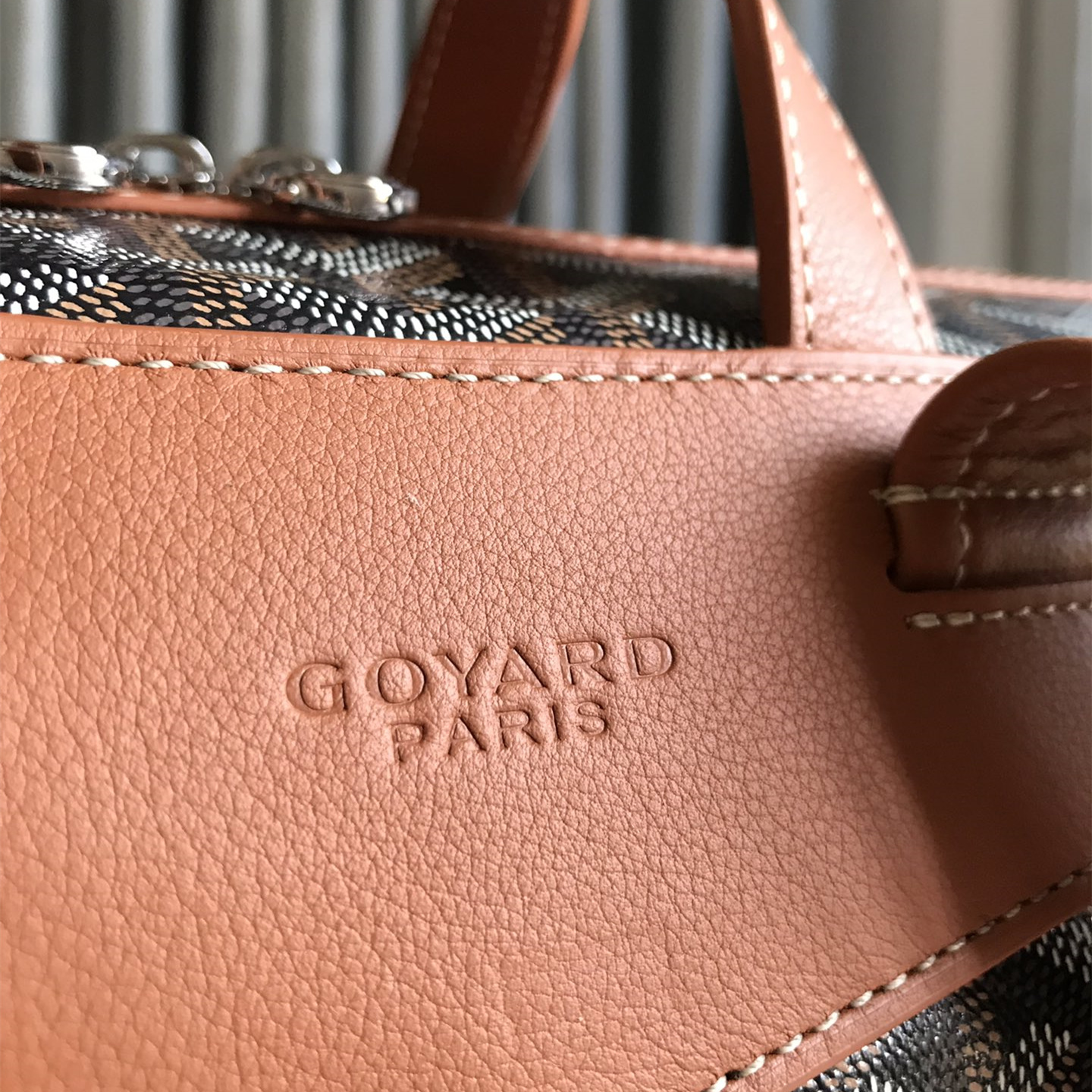 Goyard Cisalpin Backpack