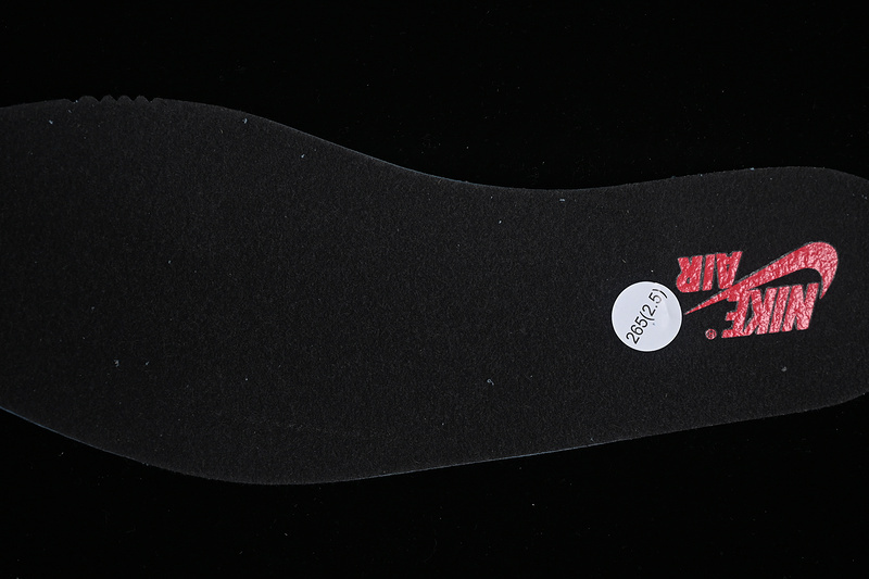 Air Jordan 1 High Element GORE TEX