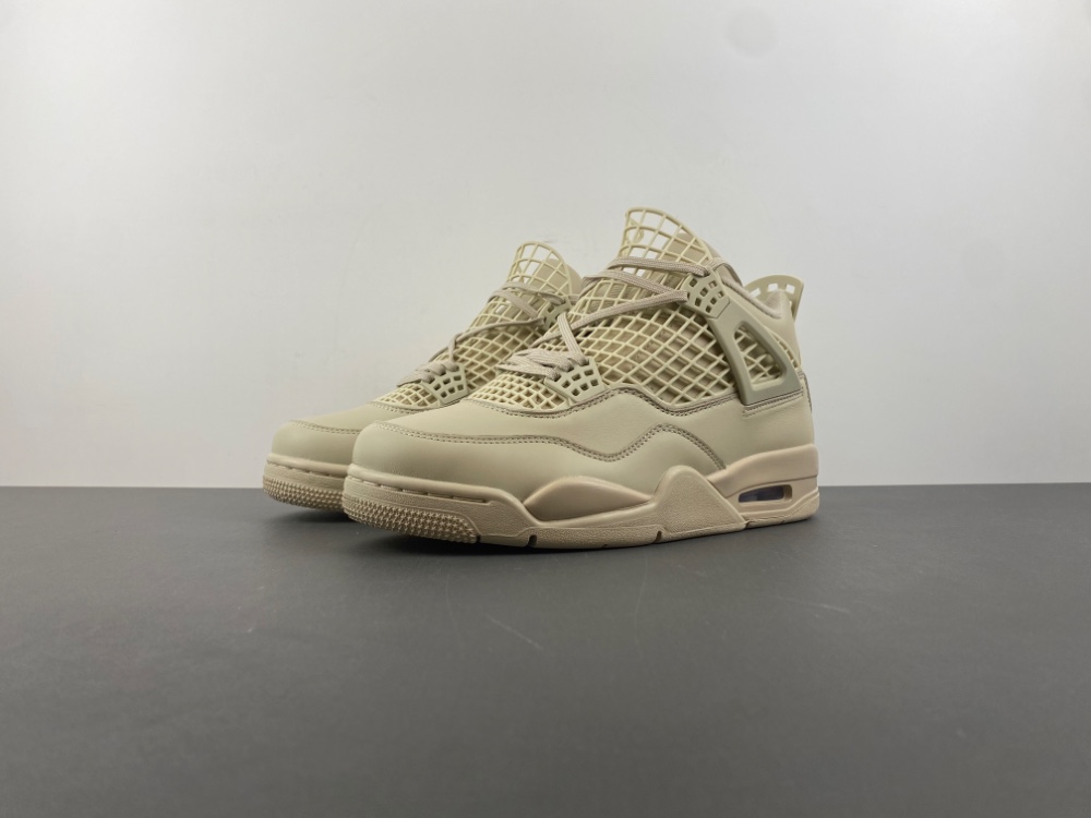 Air Jordan 4 Net  FN7251-200