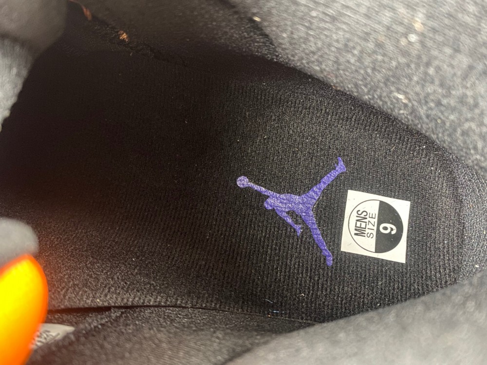 Air Jordan 12 Retro 2025 Flu Game