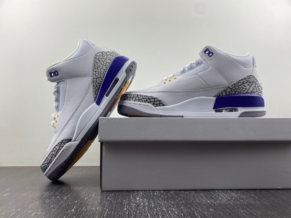 Air Jordan 3 DH3434-113