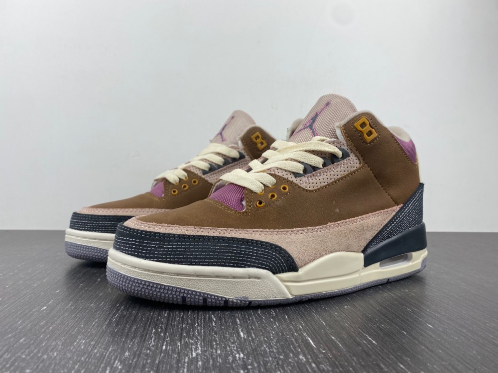 Air Jordan 3 Retro SE AJ3 DR8869-200