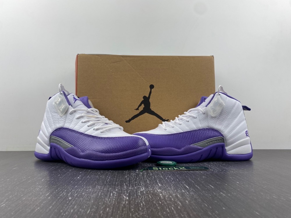 Nike Air Jordan 12 CT8013-150
