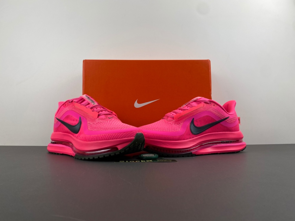 Nike Pegasus Premium    HQ2592-600