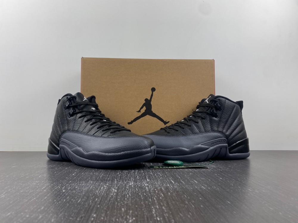 Air Jordan 12 BQ6852-001