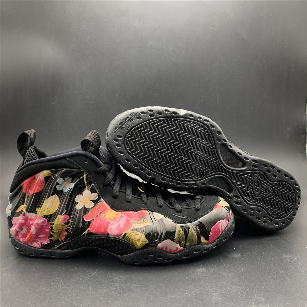 Air Foamposite 314996-012