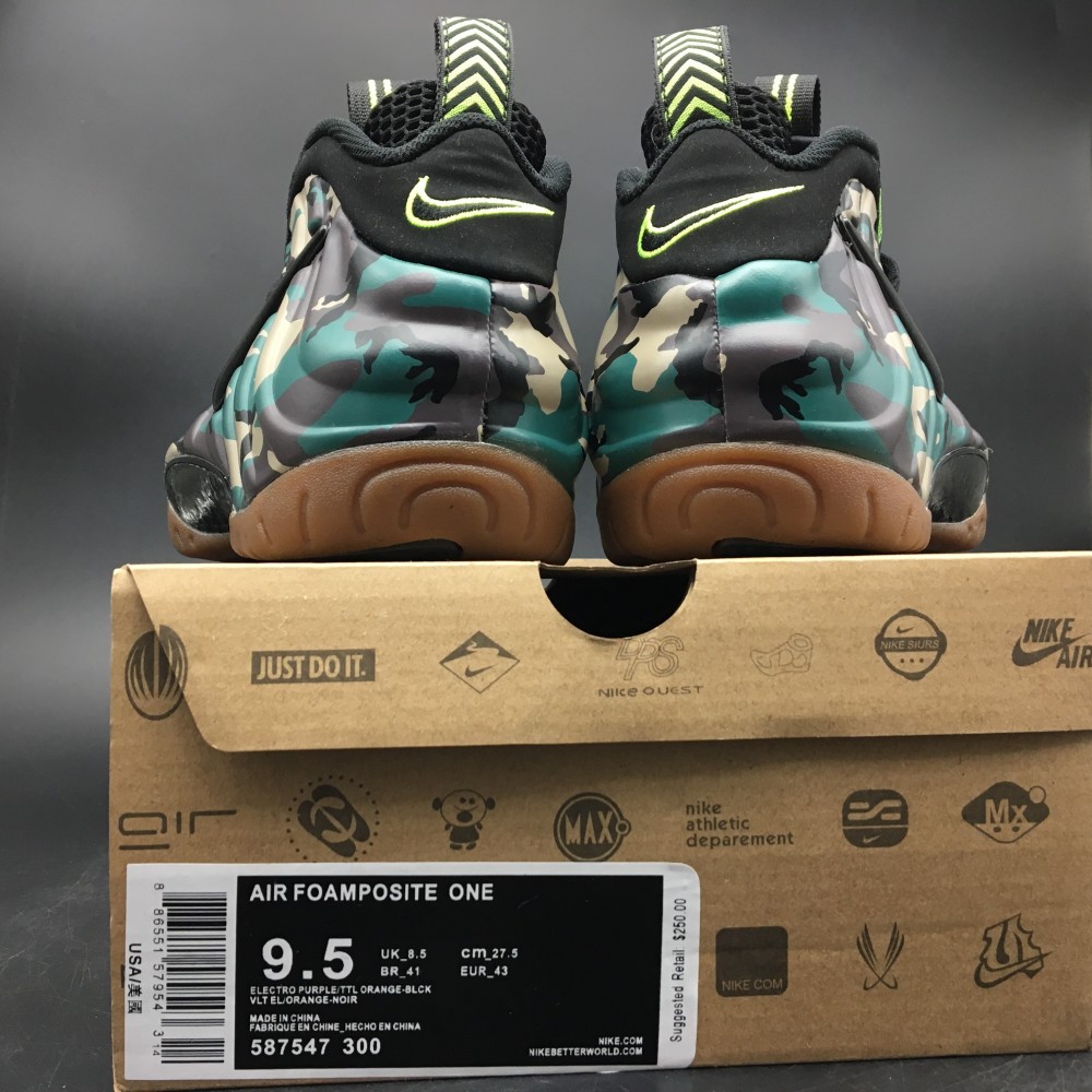 Nike Air Foamposite 587547-300