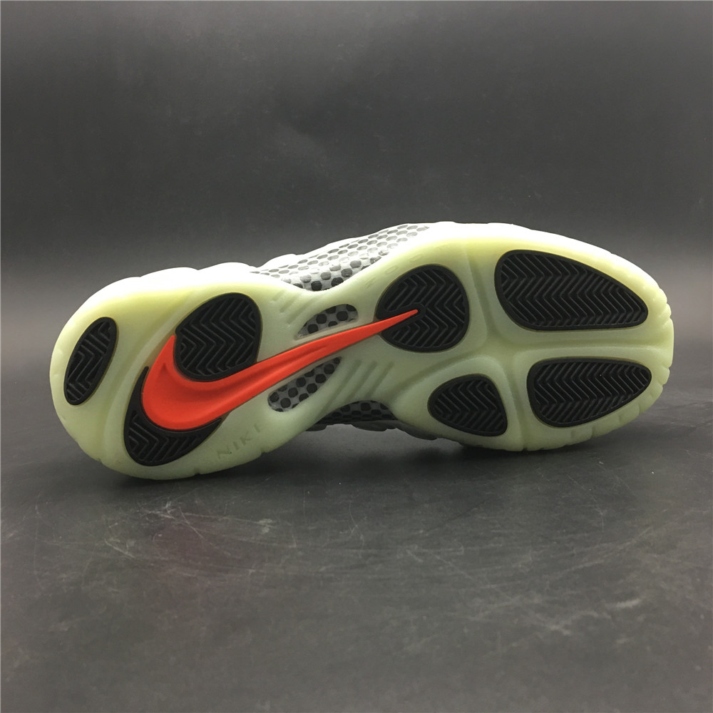 Nike Air Foamposite 616750-003