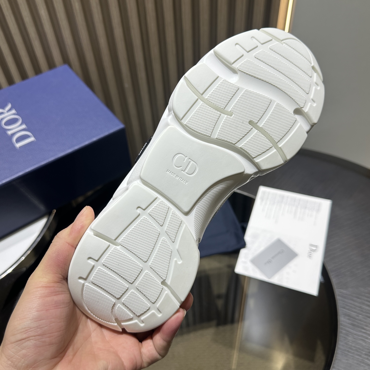 DIOR B22 SNEAKER