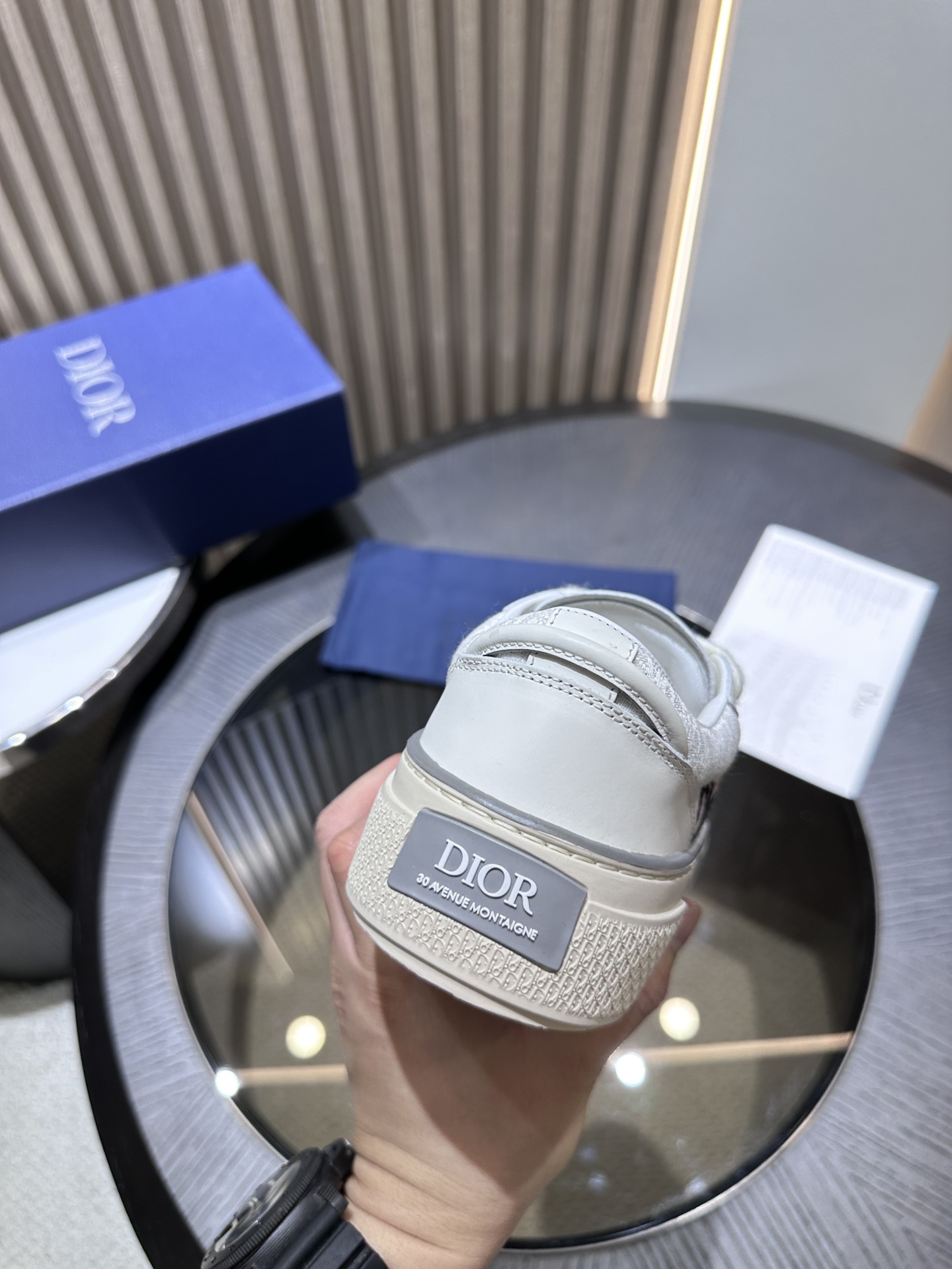 DIOR B33 SNEAKER