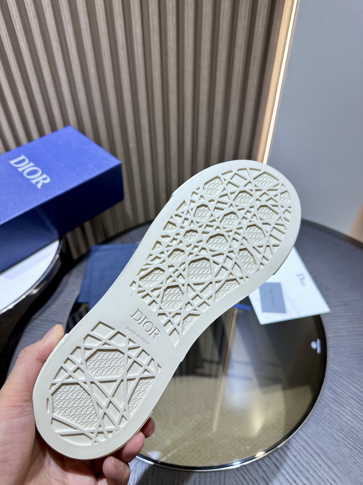 DIOR B33 SNEAKER