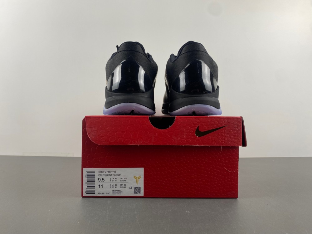 Nike Kobe 5 Protro “Year of the Mamba”IB4481-500