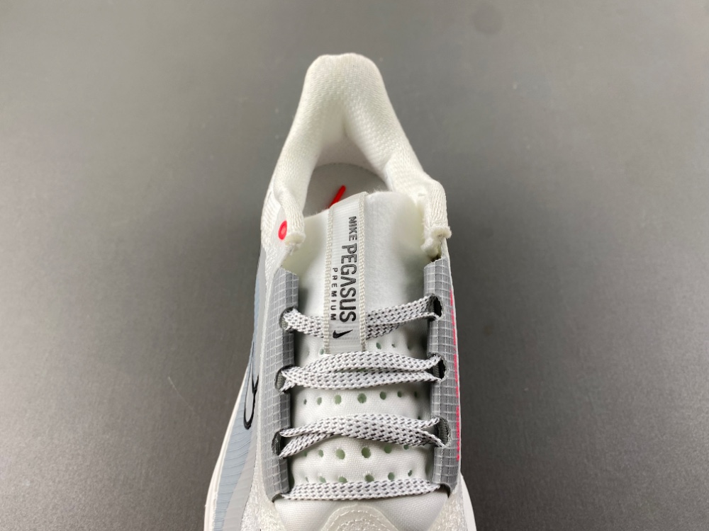Nike Pegasus Premium