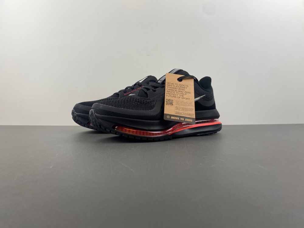 Nike Pegasus Premium HQ2593-003