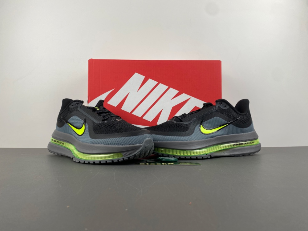 Nike Pegasus Premium