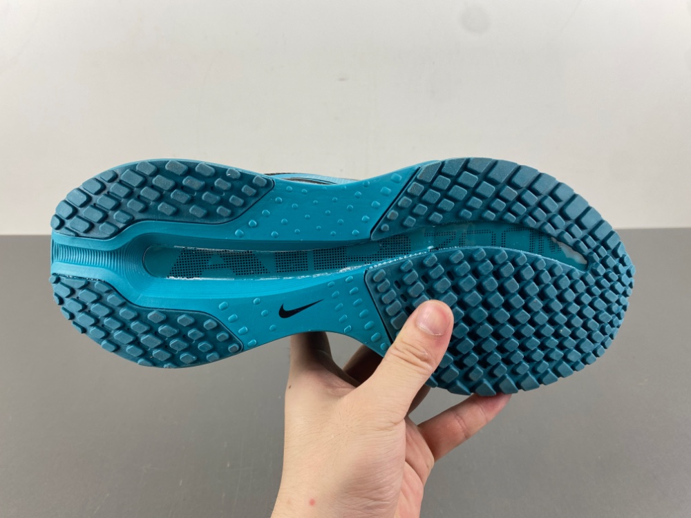 Nike Pegasus Premium