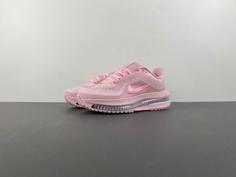 Nike Pegasus Premium