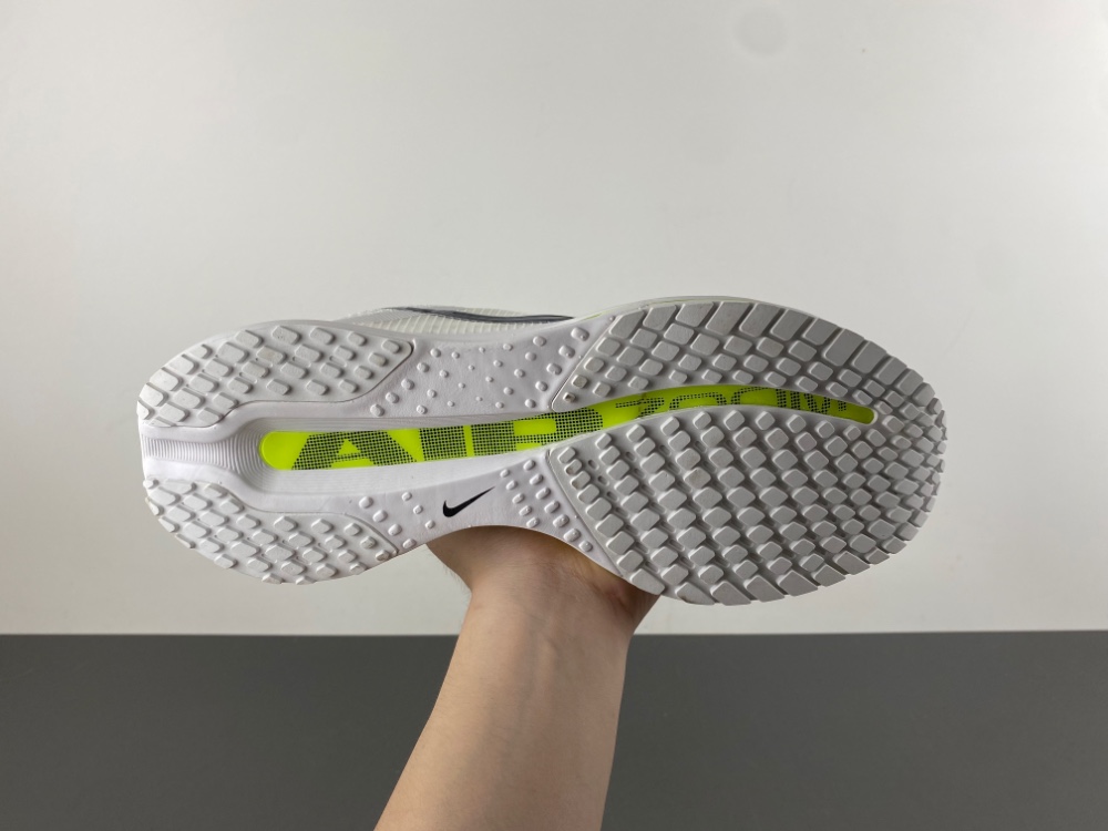 Nike Pegasus Premium HQ2592-100