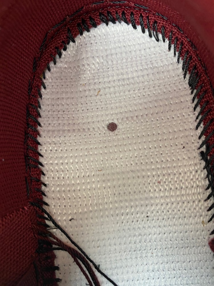 Riot Skateshop x Nike SB Dunk Low 2025