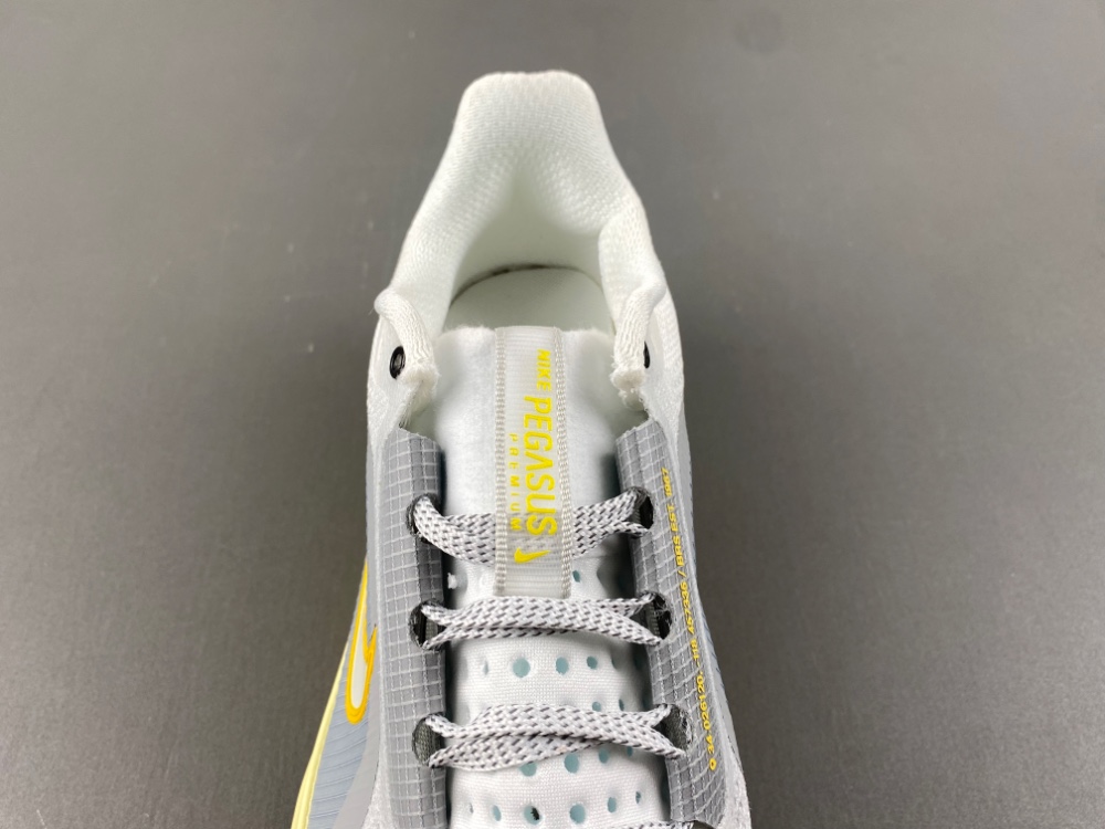 Nike Pegasus Premium