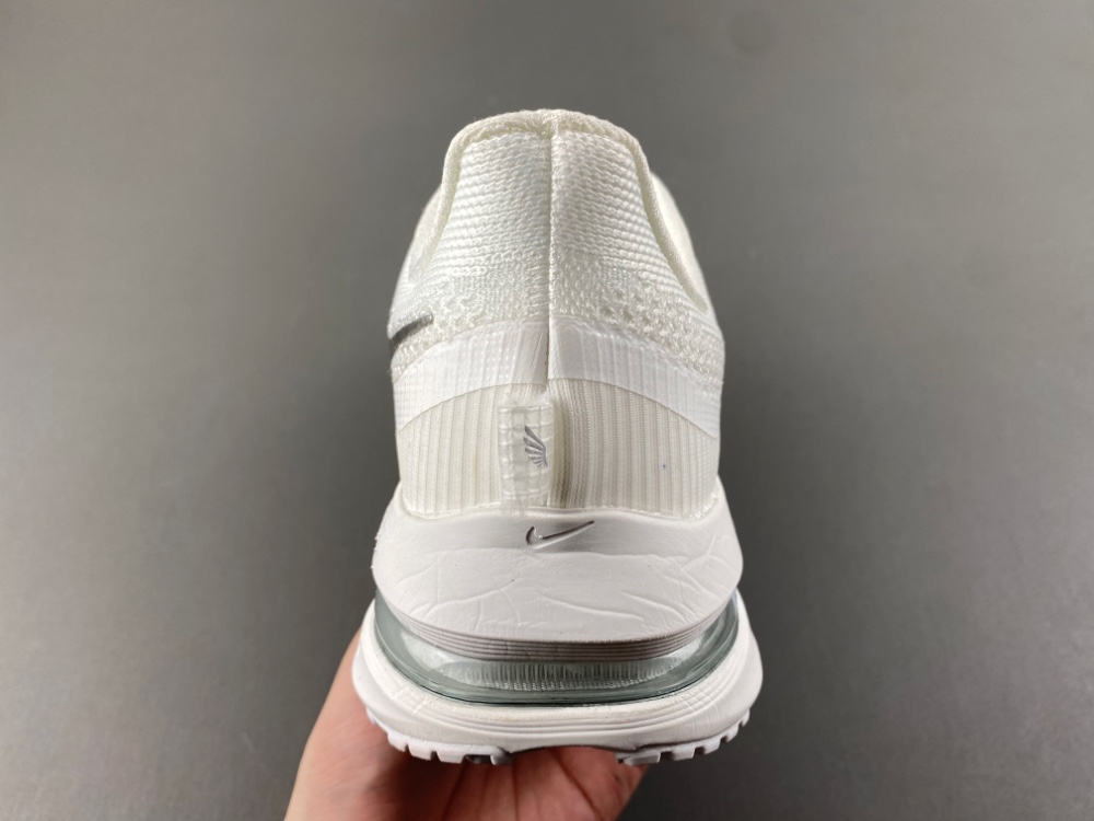 Nike Pegasus Premium