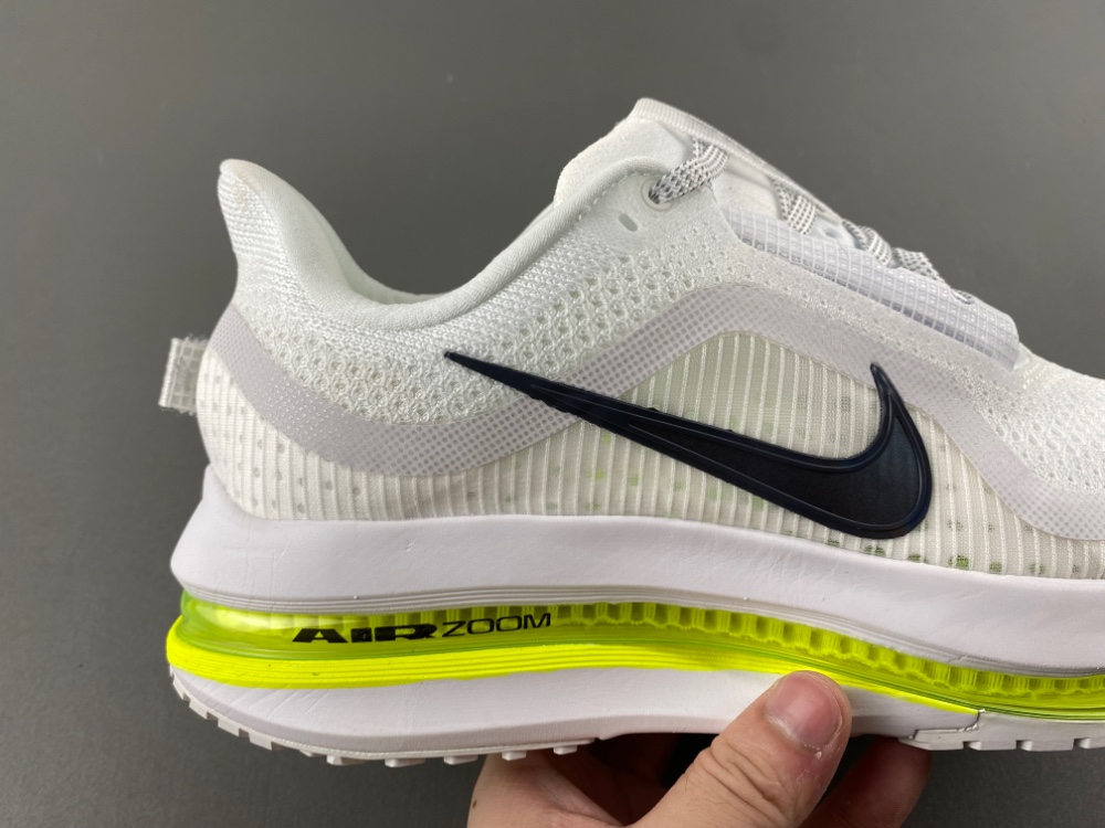 Nike Pegasus Premium HQ2592-100