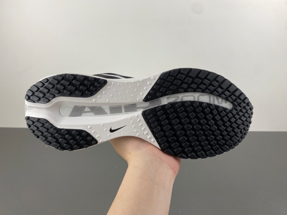 Nike Pegasus Premium