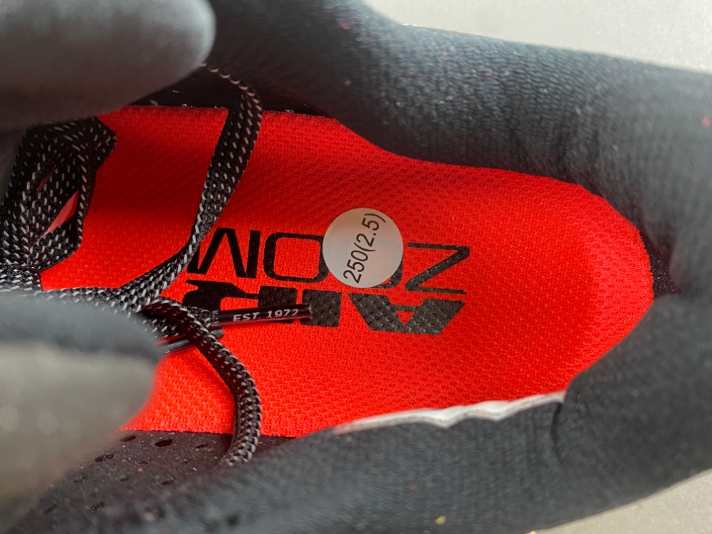 Nike Pegasus Premium HQ2593-003