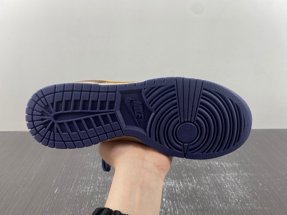 Nike Dunk Low Retro FV8106-181