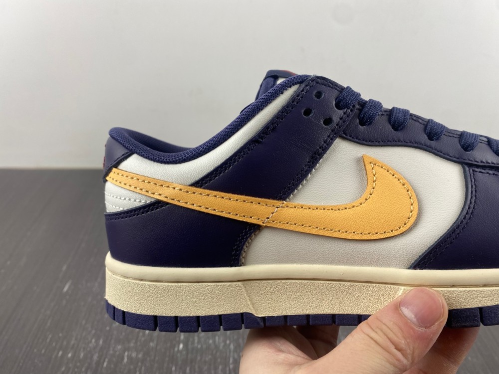 Nike Dunk Low Retro FV8106-181