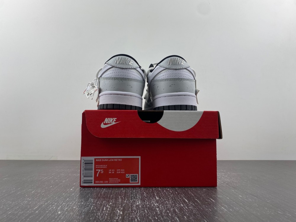 Nike Dunk Low DD1391-101