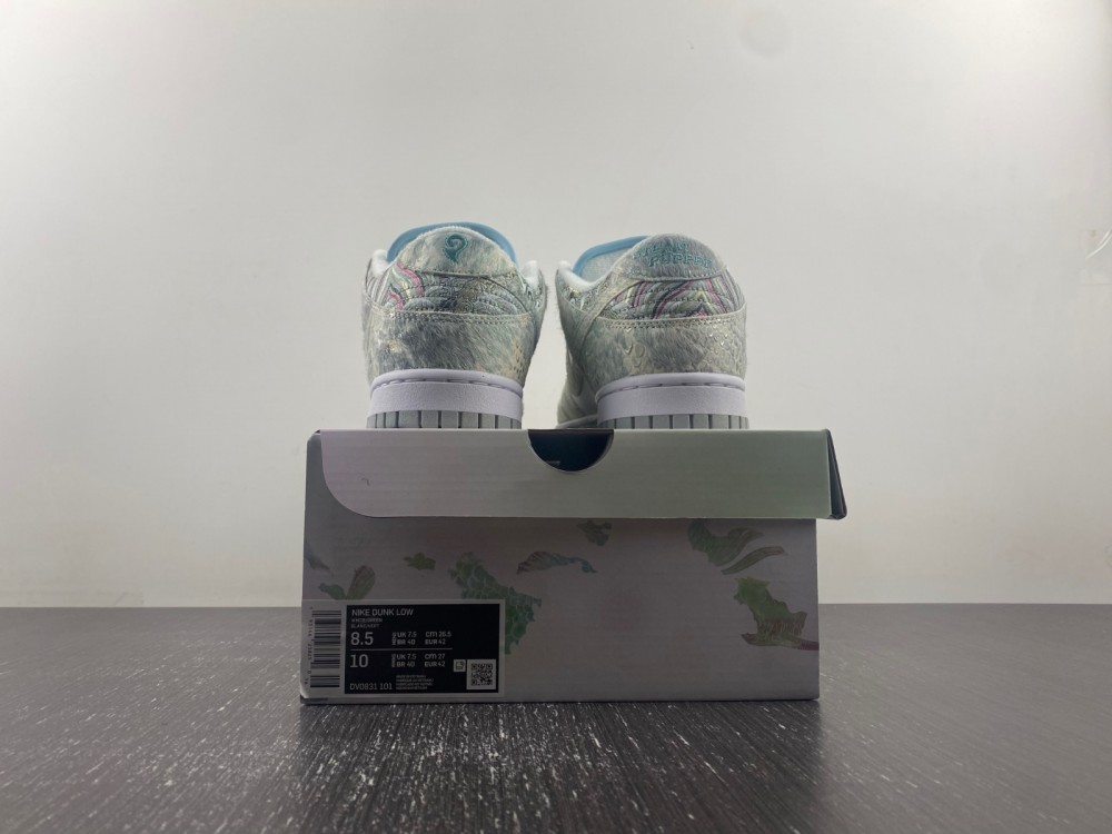 Nike Dunk Low DV0831-101
