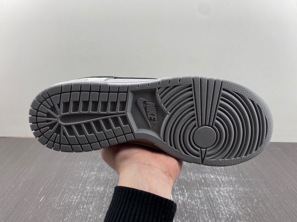 Nike Dunk Low DJ6188-101