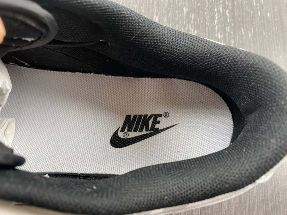 Nike Dunk Low DD1391-101