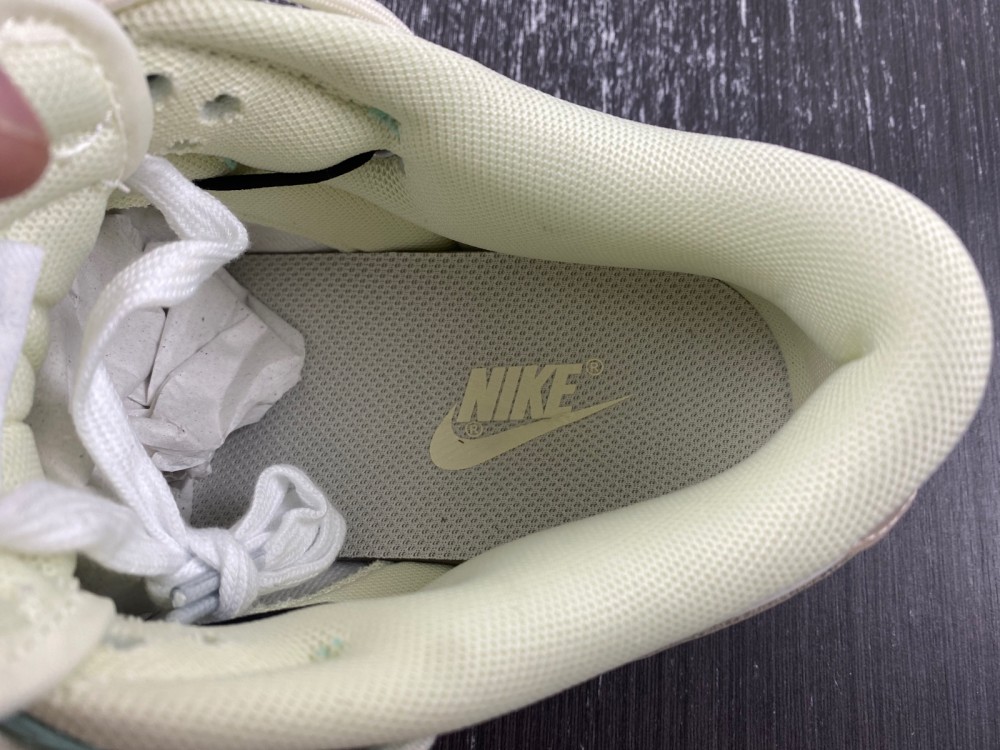 Nike Dunk  DJ6188-100