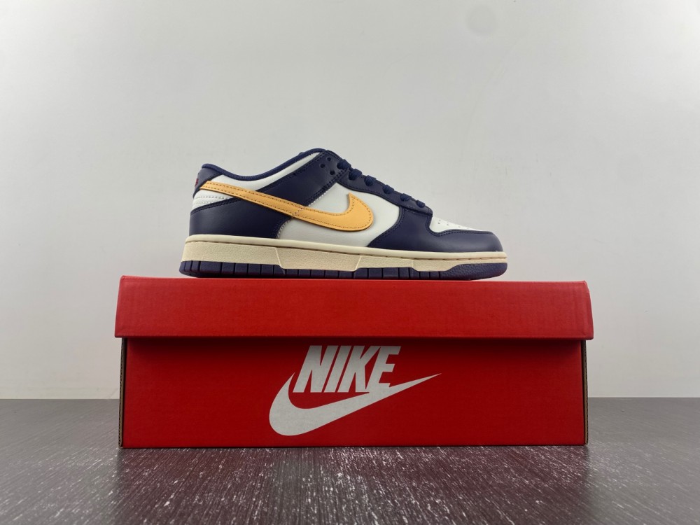 Nike Dunk Low Retro FV8106-181