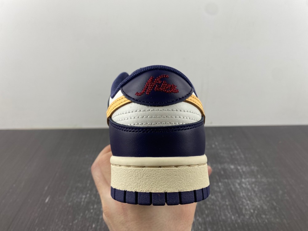 Nike Dunk Low Retro FV8106-181