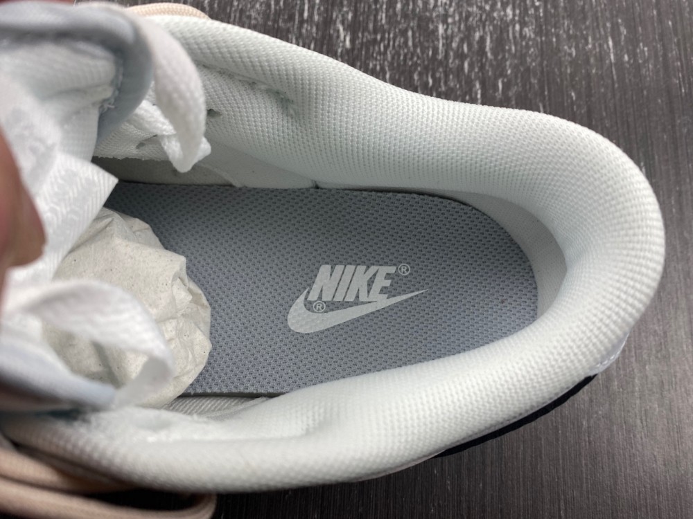 Nike Dunk Low DV0831-102