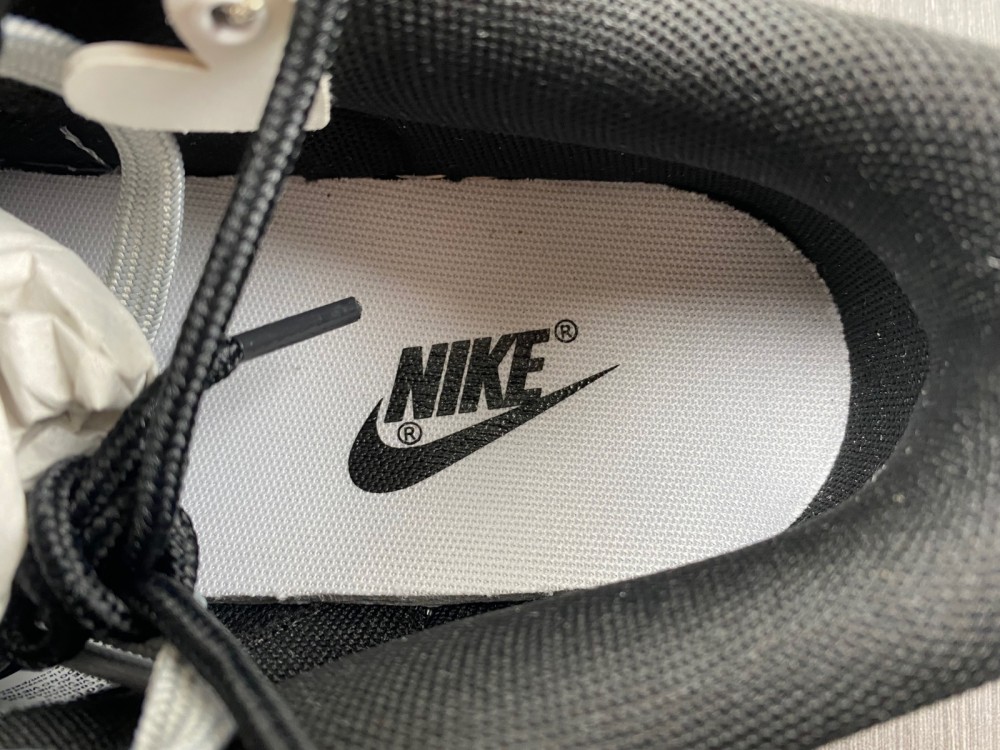 Nike SB Dunk Low DD1391-100