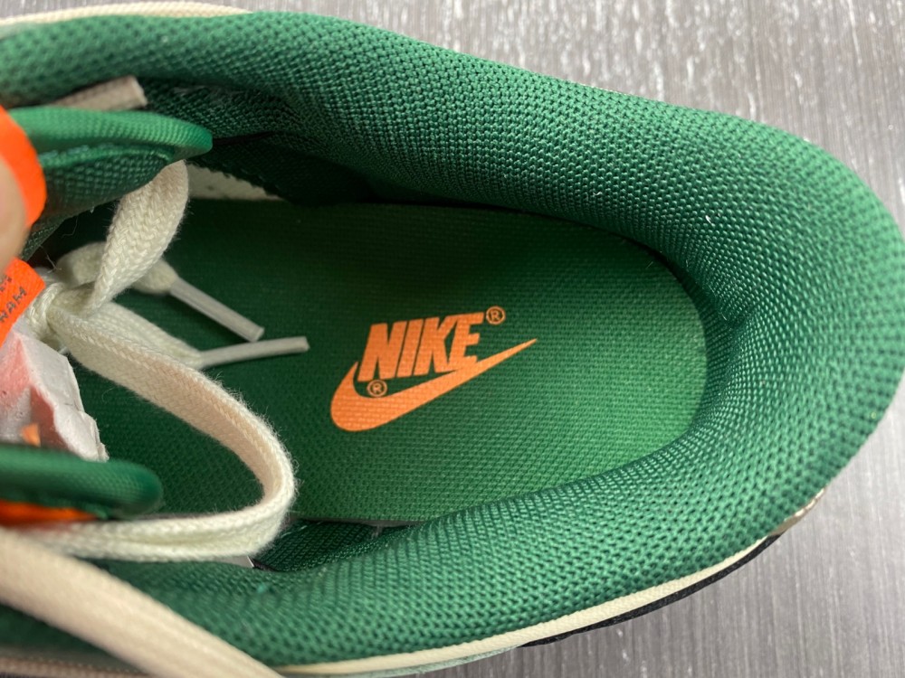 Nike Dunk Low DD1391-300