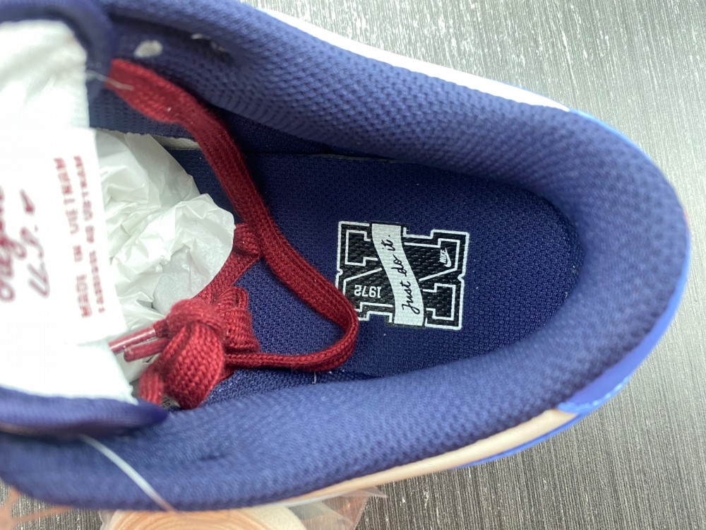 Nike Dunk Low “From Nike To You”FV8113-141